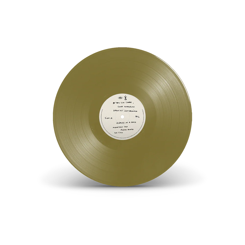 The Boys of Dungeon Lane (Barnes & Noble Excl.) Gold Vinyl + Photo Print - Image 9