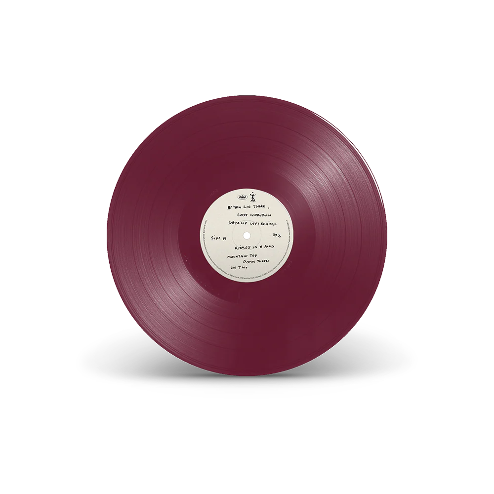 The Boys of Dungeon Lane (TalkShopLive Excl.) Purple Vinyl - Image 5